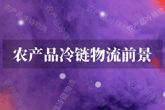 探索冷链行业的未来发展趋势与前景